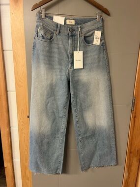 DL1961 Hepburn Wide Leg 29